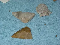 DSC08126.webp