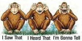 monkey_2411.webp