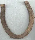 Horse.webp