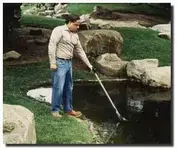 pond.webp