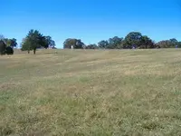 DSCF0557.webp