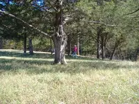 DSCF0558.webp