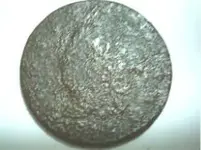 fried LC 002.webp