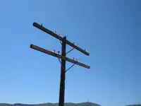 DSCF5228.webp
