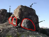 Turtle-edited.webp