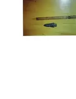 REAL DEAL MASS ARROW.webp