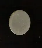 Image2 dime back.webp