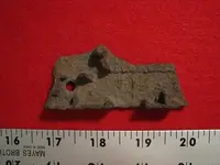 unknown 5.webp