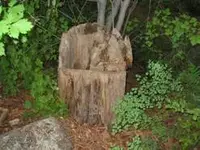 image021.webp