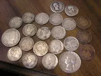 detector finds 024.jpg  cropped.webp