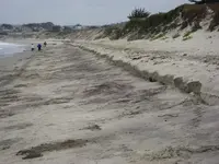 beach 015.webp