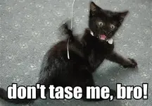 dont-tase-me-bro-4.webp