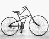 whippet.webp