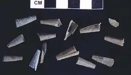 indian tinkling cones.webp