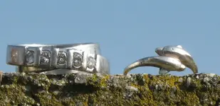 diamond and silver ring.webp