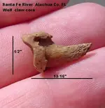 Dire Wolf claw core.webp