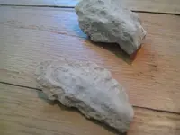 BHbone-wood.webp