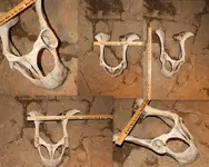 metal detector finds 20103 (2).webp