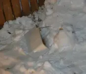 toilet-tank-in-snowbank.webp