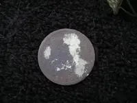 coins 005.webp