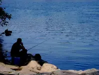Fisher1sm.webp