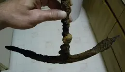 DSCN0949.webp