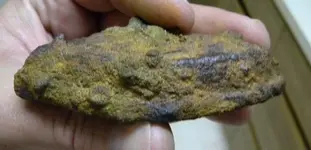 DSCN0952.webp