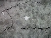 new14.webp
