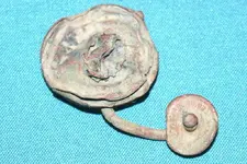 whatzit front.webp