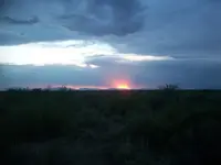 100_6969.webp