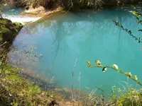 100_2648.webp