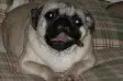 avatar_39780.webp