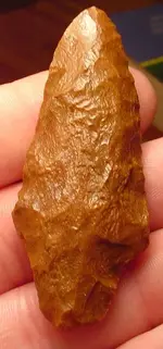 Coral Thonotosassa.webp