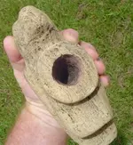 my fossils 006.webp