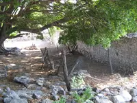 IMG_1082.webp
