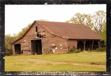 IMG_5645 (2) (650x447).webp