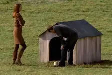 doghouse.webp
