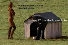 doghouse.webp