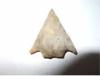 DSCN0029.webp