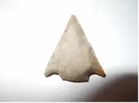 DSCN0031.webp