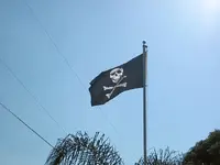 pirate party1.webp