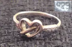 Ring 2.webp