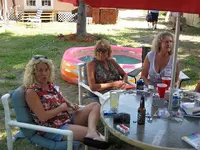 pirate party8.webp