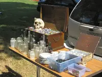 pirate party9.webp