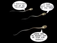 up-sperm copy.webp