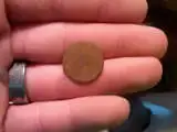 flat button front.webp