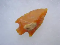 phpuSn95jPM.webp