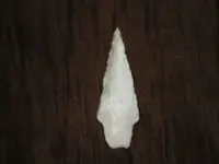 DSCN3302.webp