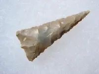 phpbnrCGcPM.webp