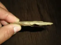 DSCN3298.webp